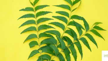 রুপচর্চায় নিম
