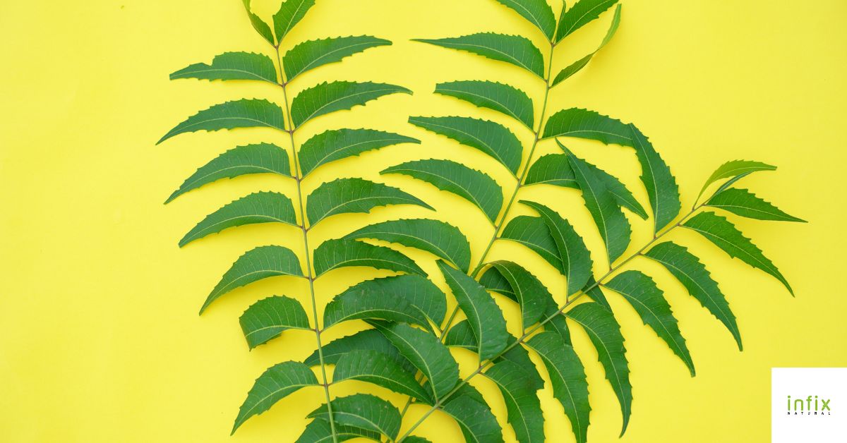 রুপচর্চায় নিম