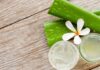 Aloe vera in beauty care