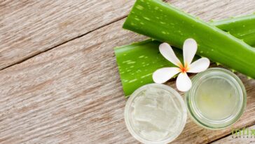 Aloe vera in beauty care